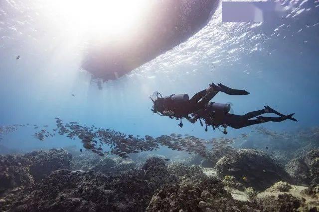 高青黑牛、沂源苹果……淄博120多款年货好物汇聚泉城